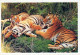 DOG AND CAT Animals Vintage Postcard CPSM Unposted #PAM032.GB - Cani