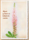 FIORI Vintage Cartolina CPSM #PBZ249.IT - Flowers
