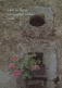 FIORI Vintage Cartolina CPSM #PBZ429.IT - Blumen