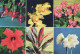 FIORI Vintage Cartolina CPSM #PBZ309.IT - Flowers