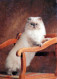 GATTO KITTY Animale Vintage Cartolina CPSM #PBQ763.IT - Cats