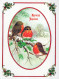 Buon Anno Natale UCCELLO Vintage Cartolina CPSM #PBM587.IT - Nouvel An