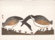 UCCELLO Animale Vintage Cartolina CPSM #PAN409.IT - Pájaros
