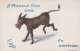 DONKEY Animals Vintage Antique Old CPA Postcard #PAA130.GB - Anes