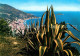 73012330 Alassio Riviera Del Fiori Alassio - Autres & Non Classés