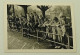 School Girls And Boys Lined Up On The Fence - Personas Anónimos