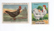 Chromo Poules BRESSE Pub: Chocolat Pupier  68 X 51 Mm Et Cafés Gilbert  2 Scans - Andere & Zonder Classificatie