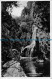 R076943 Kaaimans River Falls. Wilderness. C. P. No. 307. The Newman Art Publishi - Mondo