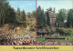 Annaberg-Buchholz Naturtheater Greifensteine Ansichtskarte 1988 - Annaberg-Buchholz