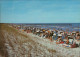 Zingst-Darss Strand Mit Strandkörben Und Vielen Badegästen 1987 - Zingst