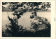 Langenargen Am Bodensee Panoramablick über Den See 1954 Privatfoto - Langenargen