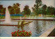 Erfurt Internationale Gartenbauausstellung Der DDR (IGA): Springbrunnen  X 1961 - Other & Unclassified