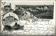 Ansichtskarte Litho AK Naunhof Kirche, Straße, Mühle 1899 - Naunhof