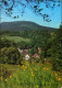 Lückendorf Oybin Panorama-Ansicht, Blick Zum Hochwald 1986 - Oybin