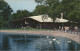 11491512 Royal_Oak_Michigan Detroit Zoological Park Holden Museum Of Living Rept - Andere & Zonder Classificatie