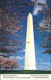 11491407 Washington DC Washington Monument  - Washington DC