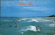 11491220 Orlando_Florida Surfing Along Florida Coast - Other & Unclassified