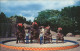 11491201 Royal_Oak_Michigan Elephant Show Detroit Zoological Park - Altri & Non Classificati