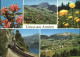 11466893 Amden SG Panorama Walensee Alpenblumen Bergstrasse Betlis - Autres & Non Classés