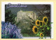 04. CASTELLANE – Cité Historique Sur La Route Napoléon (Lavande / Tournesol) (voir Scan Recto/verso) - Castellane