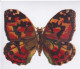 CHROMOS - CHROMO - DECOUPIS - PAPILLON - Andere & Zonder Classificatie