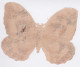 CHROMOS - CHROMO - DECOUPIS - PAPILLON - Other & Unclassified