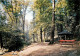 88 - Bains Les Bains - Le Parapluie Et Le Bagnerot Sous Bois - Carte Neuve - CPM - Voir Scans Recto-Verso - Bains Les Bains