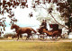 Animaux - Chevaux - A Swedish Postal Coach Of The Eighteen-eighties - Fiacre - Carte Neuve - Voir Scans Recto Verso  - Horses