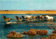 Animaux - Chevaux - Camargue - Manade De Chevaux Sauvages à Travers Les Marais - Flamme Postale - CPM - Voir Scans Recto - Pferde