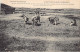 Greece - Near Salonica - Threshing Wheat - Grecia