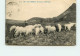 CAUTERETS  Paturages Des Moutons  TT 1457 - Cauterets