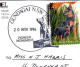 11-5-2024 (4 Z 41) Australia - NSW - Gundegai Dog On Tuckerbox  (posted 2009 With DOG Stamp And Special Postmark) - Altri & Non Classificati