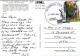 11-5-2024 (4 Z 41) Australia - NSW - Gundegai Dog On Tuckerbox  (posted 2009 With DOG Stamp And Special Postmark) - Autres & Non Classés