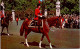 11-5-2024 (4 Z 43) UK - Queen Elizabeth (on Horseback) - Royal Families