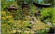 11-5-2024 (4 Z 43) USA - San Francisco - Japanese Tea Garden (2 Postcards) - Árboles