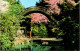11-5-2024 (4 Z 43) USA - San Francisco - Japanese Tea Garden (3 Postcards) - Árboles