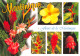 972-MARTINIQUE FLEURS-N°T2546-F/0375 - Other & Unclassified