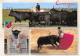 34-LA CAMARGUE-N°T2549-F/0357 - Other & Unclassified