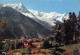 74-CHAMONIX-N°T2550-E/0389 - Chamonix-Mont-Blanc