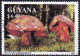 Timbre-poste Dentelé Oblitéré - Champignons Bolet Satan Boletus Satanoides - N° 3680 (Michel) - Guyana 1991 - Guyana (1966-...)