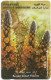 Kuwait - (GPT) - Kuwait Desert Flowers - 36KWTN (Normal 0, Rounded Top '3') - 1996, Used - Koweït