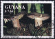 Timbre-poste Dentelé Oblitéré - Champignons Russule Noircissante Russula Nigricans - N° 3681 (Michel) - Guyana 1991 - Guyane (1966-...)