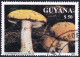 T.-P. Dentelé Oblitéré - Champignons Cortinaire à Pied Glauque Cortinarius Glaucopus - N° 3682 (Michel) - Guyana 1991 - Guiana (1966-...)