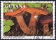 T.-P. Dentelé Oblitéré - Champignons Lactaire à Odeur De Chicorée Lactarius Camphoratus - N° 3683 (Michel) - Guyana 1991 - Guyana (1966-...)