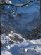 11438745 Grindelwald Fiescherhoerner Im Schnee Grindelwald - Autres & Non Classés