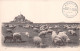 50-MONT SAINT MICHEL-N°T2563-F/0143 - Le Mont Saint Michel