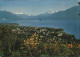 11435046 Vevey VD Lac Leman Et Les Dents Du Midi Sommerfrische Vevey - Other & Unclassified