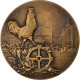 France, Médaille, Alsace, Libération De Mulhouse, 1918, Bronze, Dammann, SPL - Autres & Non Classés
