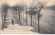 PARIS Inondé 1910 - Aspect De L'Ile Des Cygnes - Très Bon état - Paris Flood, 1910