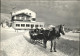 11385993 Vitznau First Hotel Rigi Pferdeschlitten Vitznau - Sonstige & Ohne Zuordnung